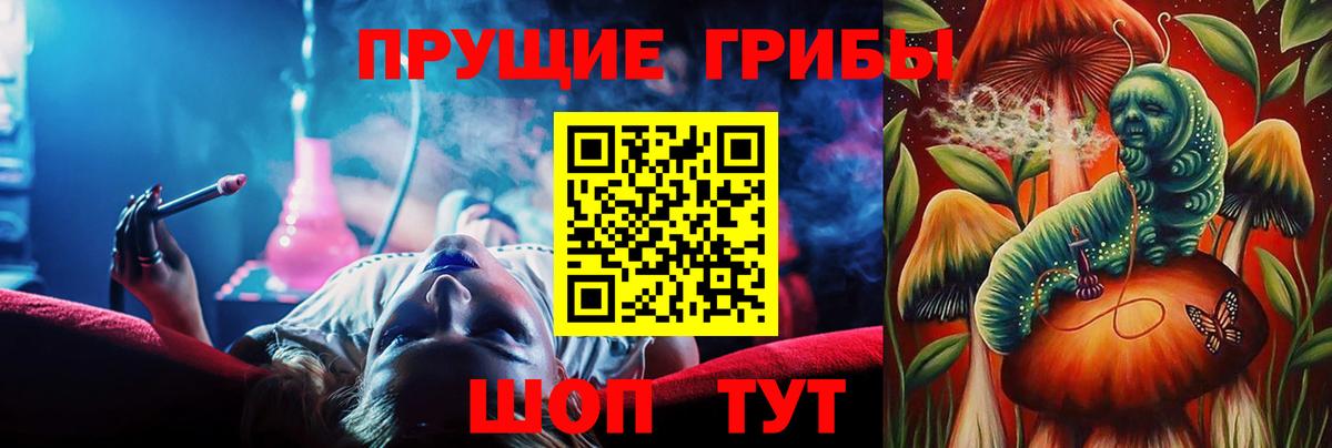 Псилоцибиновые грибы ЛСД  закладка  Лесосибирск  Вход с VPN 